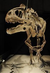 دراسة تعيد النظر في نظرية النيزك الذي تسبب بانقراض الديناصورات