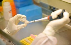سلطنة عمان تبدأ حملة تلقيح ضد انفلونزا الخنازير