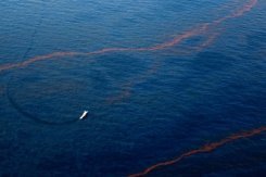 لويزيانا تطلب مساعدة عاجلة مع اقتراب بقعة النفط من سواحلها