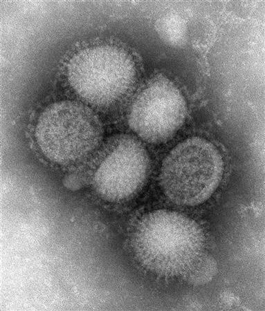 دراستان : فيروس اتش1 ان1 يحدث اضرارا غير معتادة بالرئتين