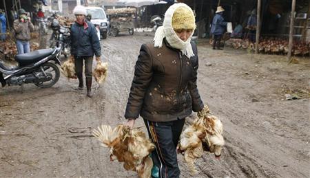 وفاة امرأة بانفلونزا الطيور في جنوب فيتنام..